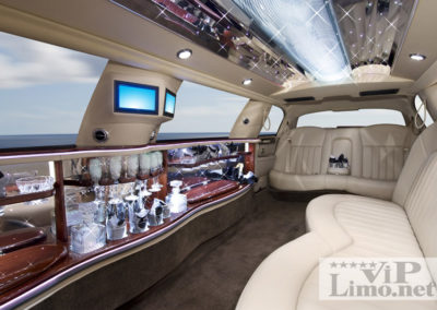 Stretch Limo Interior